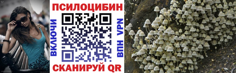 Галлюциногенные грибы прущие грибы  omg ТОР  Северобайкальск 