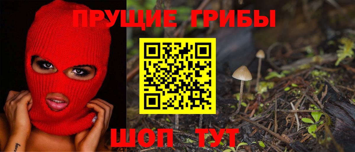Галлюциногенные грибы Psilocybine cubensis Северобайкальск