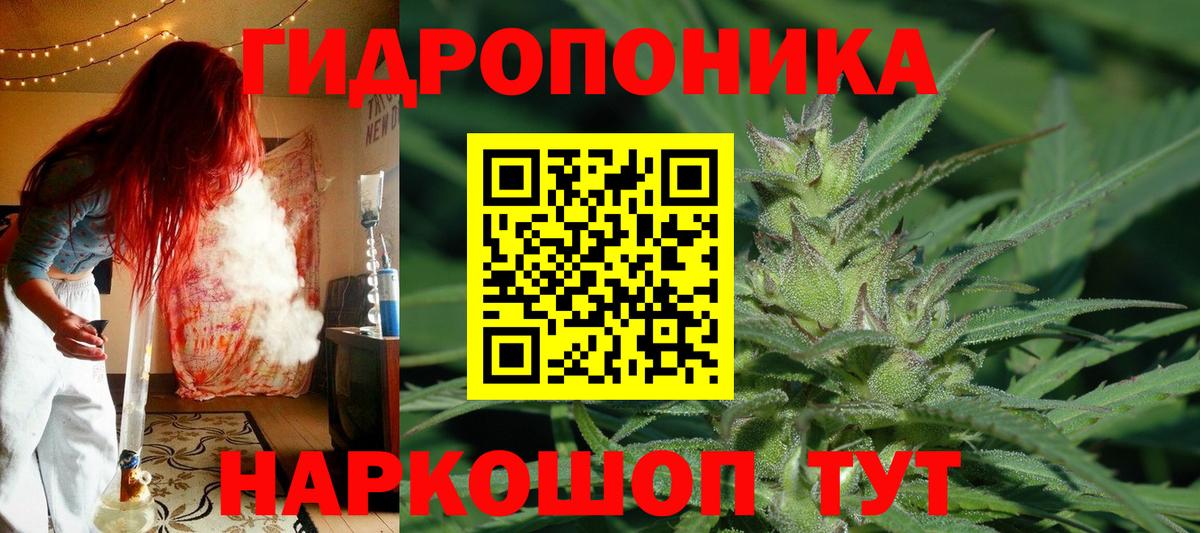 Марихуана Северобайкальск